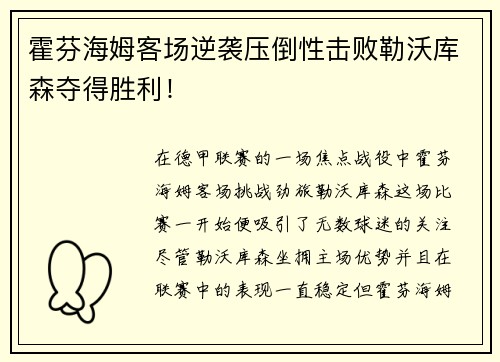 霍芬海姆客场逆袭压倒性击败勒沃库森夺得胜利！