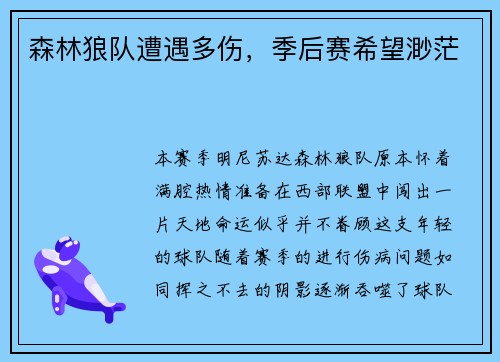 森林狼队遭遇多伤，季后赛希望渺茫